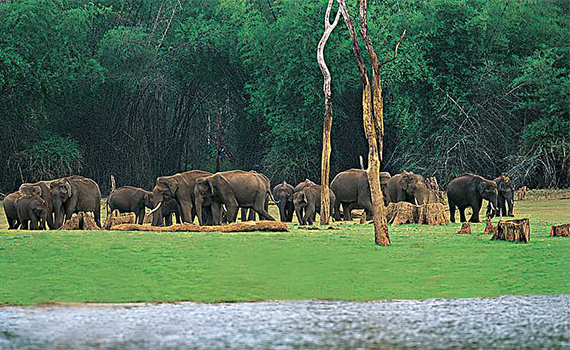 CHAKKUPALLAM SERVICE CO-OPERATIVE BANK LTD